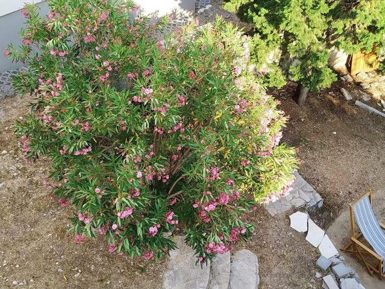 Apartments Kupine Μπολ Εξωτερικό φωτογραφία